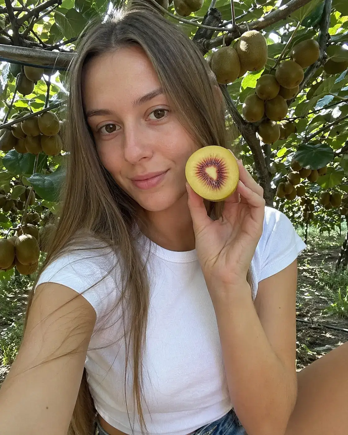 Фото від клієнта — ківі Золотий Рубін